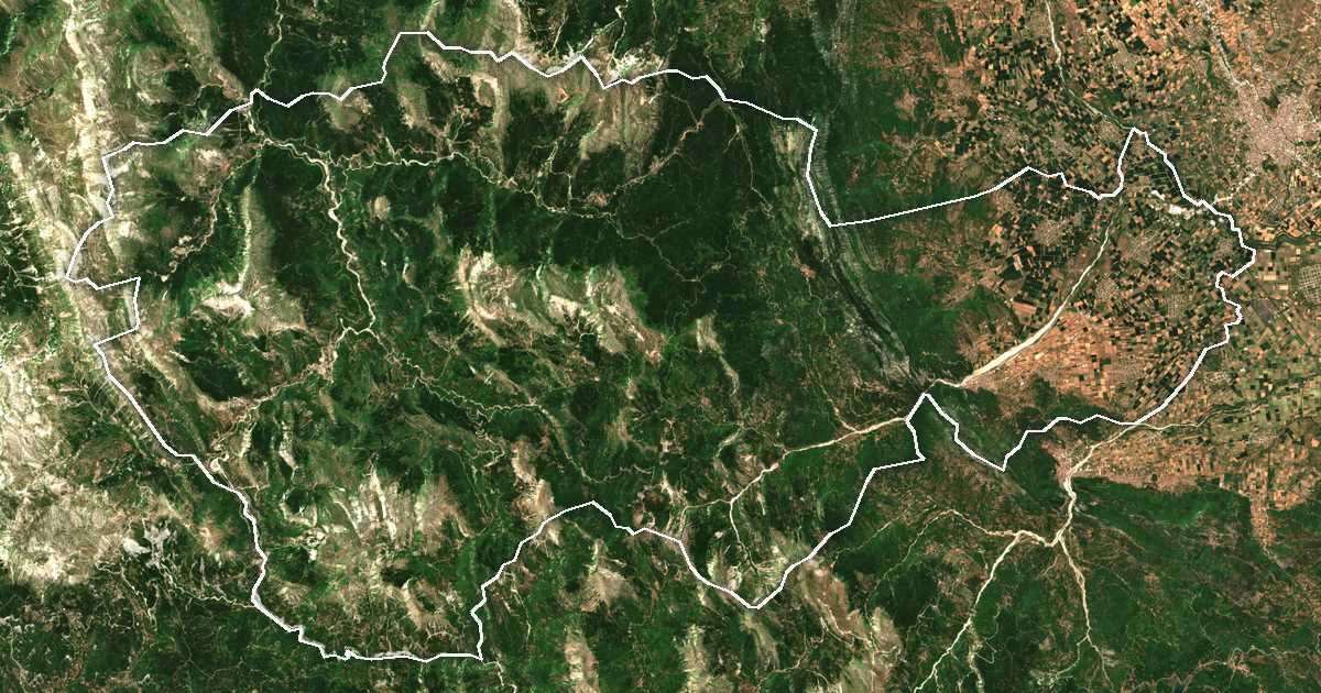 Satelitska snimka s ucrtanom granicom: Dímos Pýlis