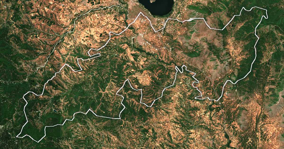 Satelitska snimka s ucrtanom granicom: Dímos Orestídos