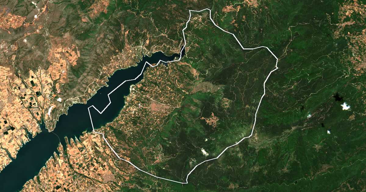 Satelitska snimka s ucrtanom granicom: Dímos Servíon